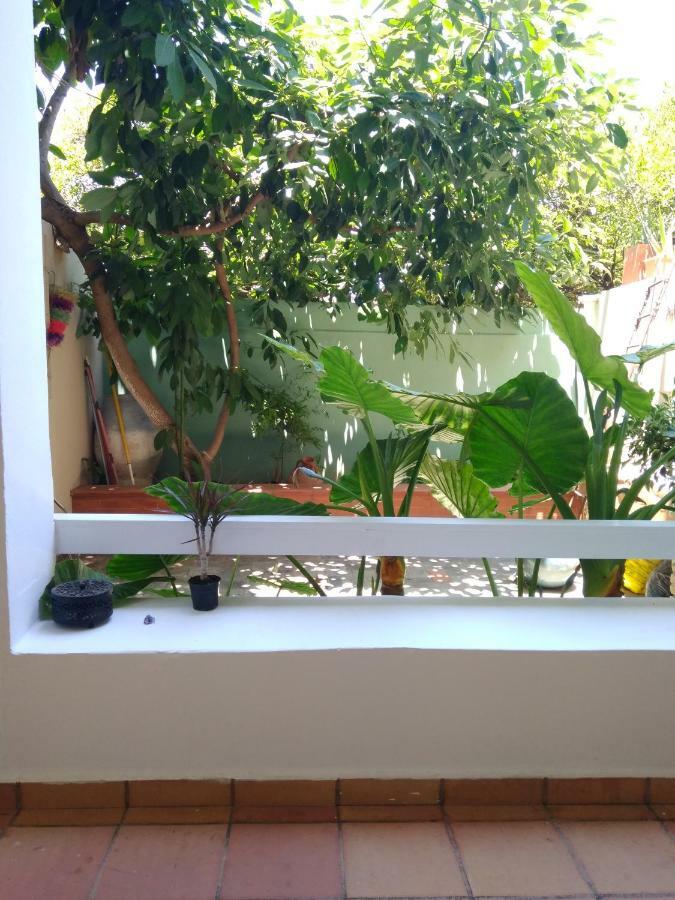 Zacharoula'S Home 干尼亞 外观 照片